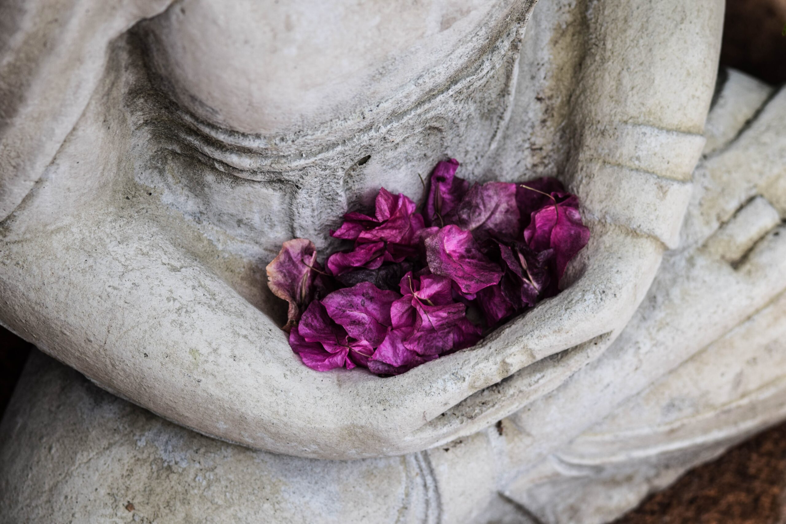 SATI MEDITAZIONE SILENZIOSA