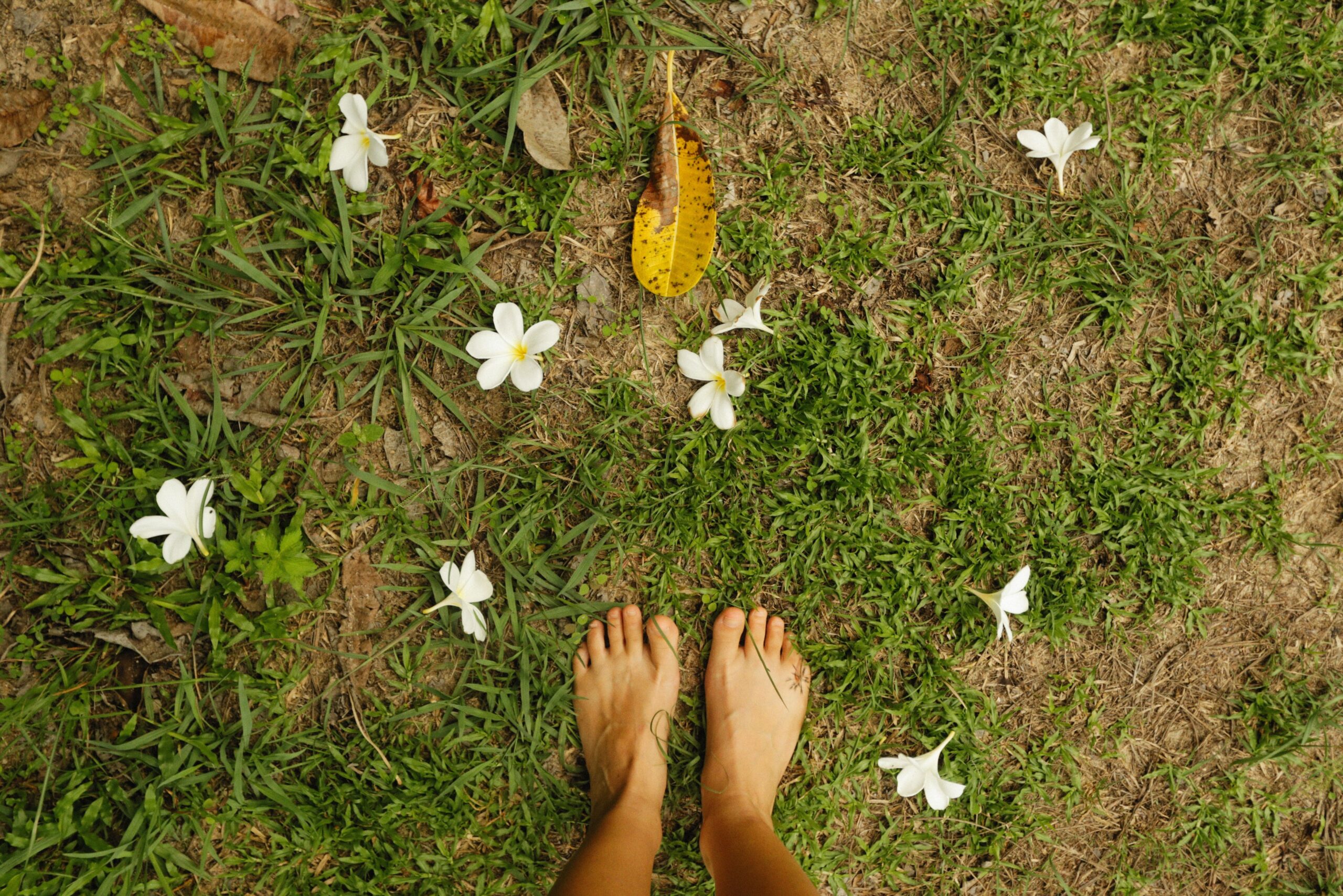 GROUNDING & FLOW